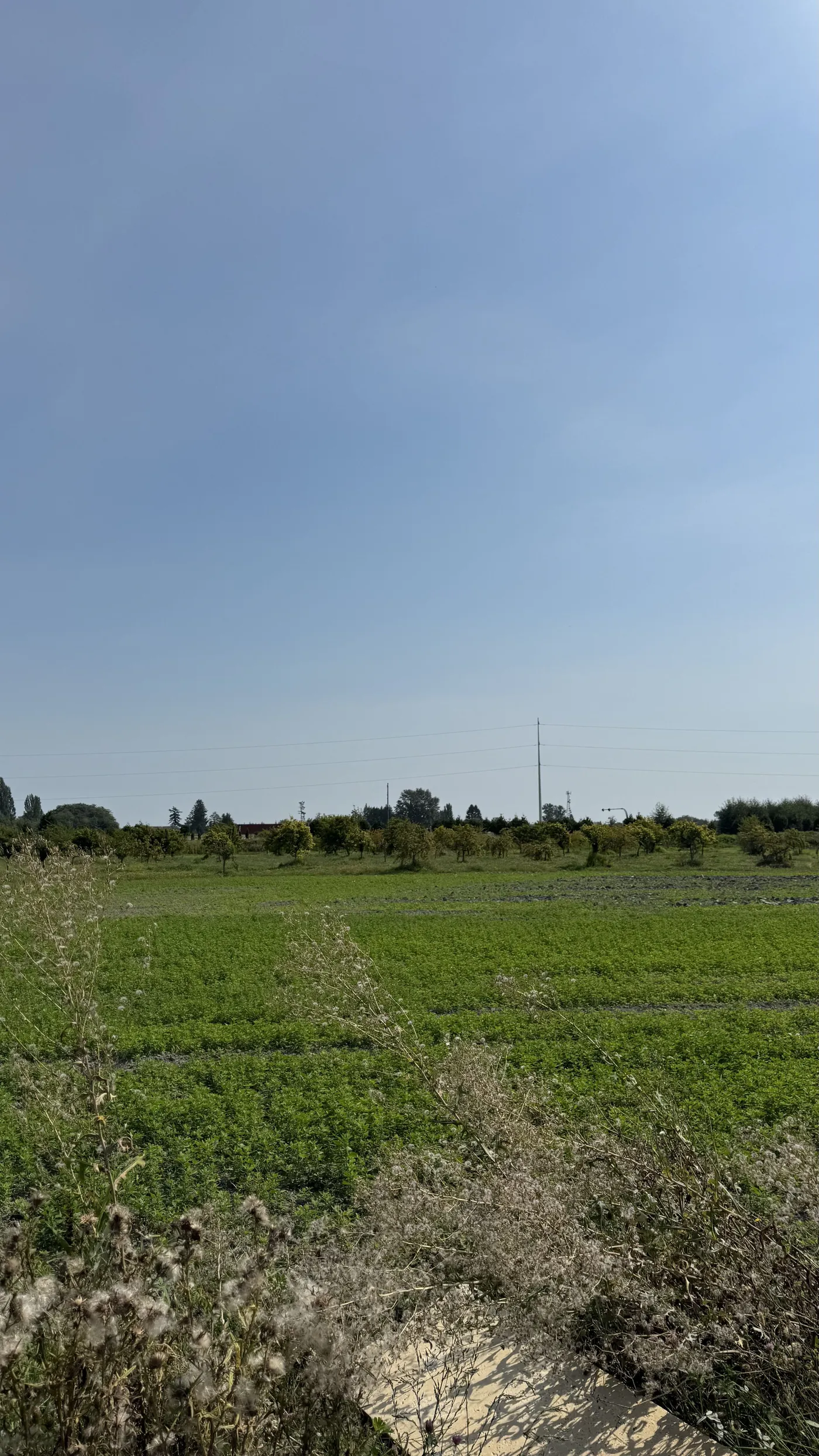 Farm Plans, Titrin AgriSoil Solutions
