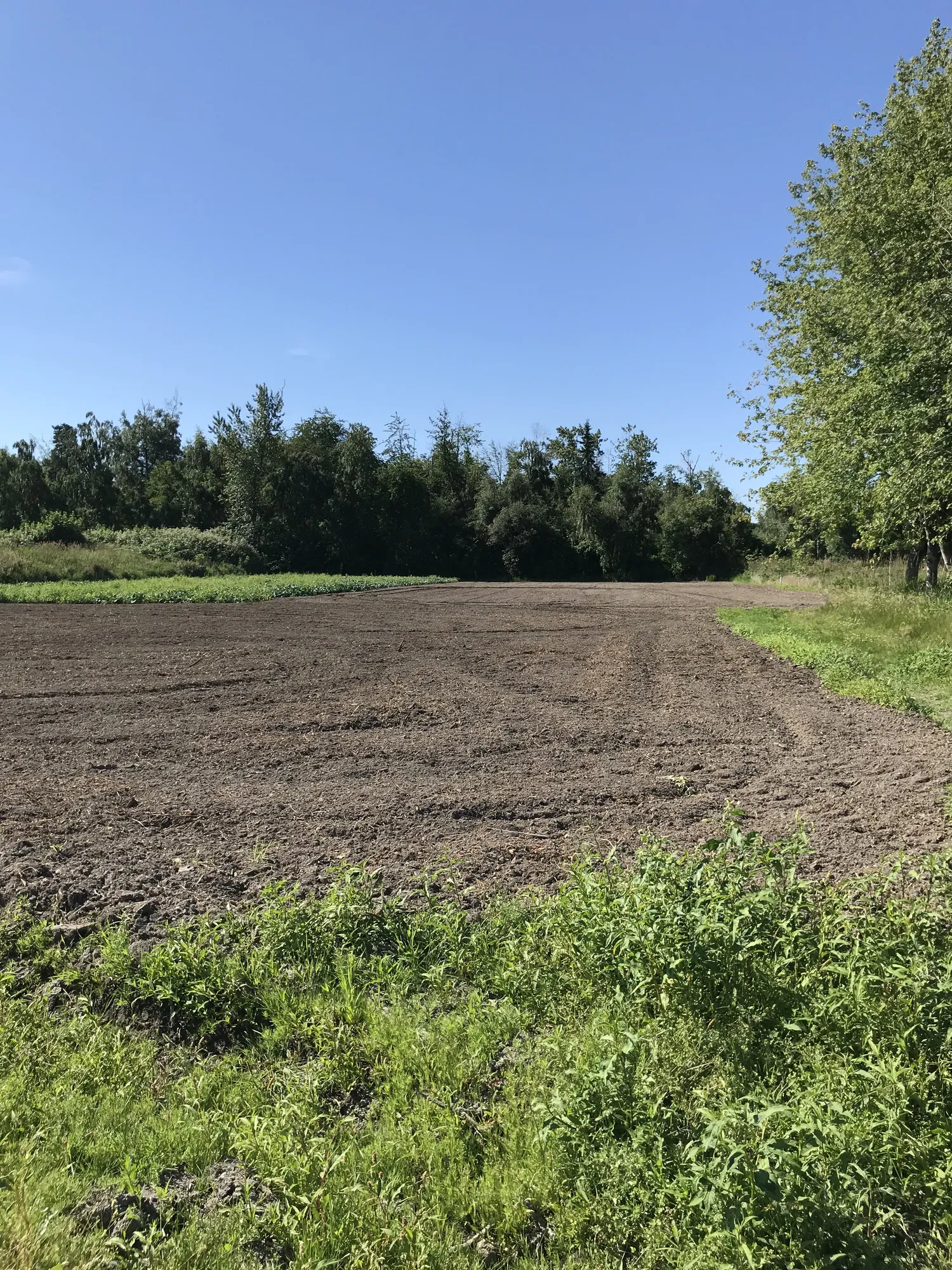 Agricultural land in the Fraser Valley, British Columbia