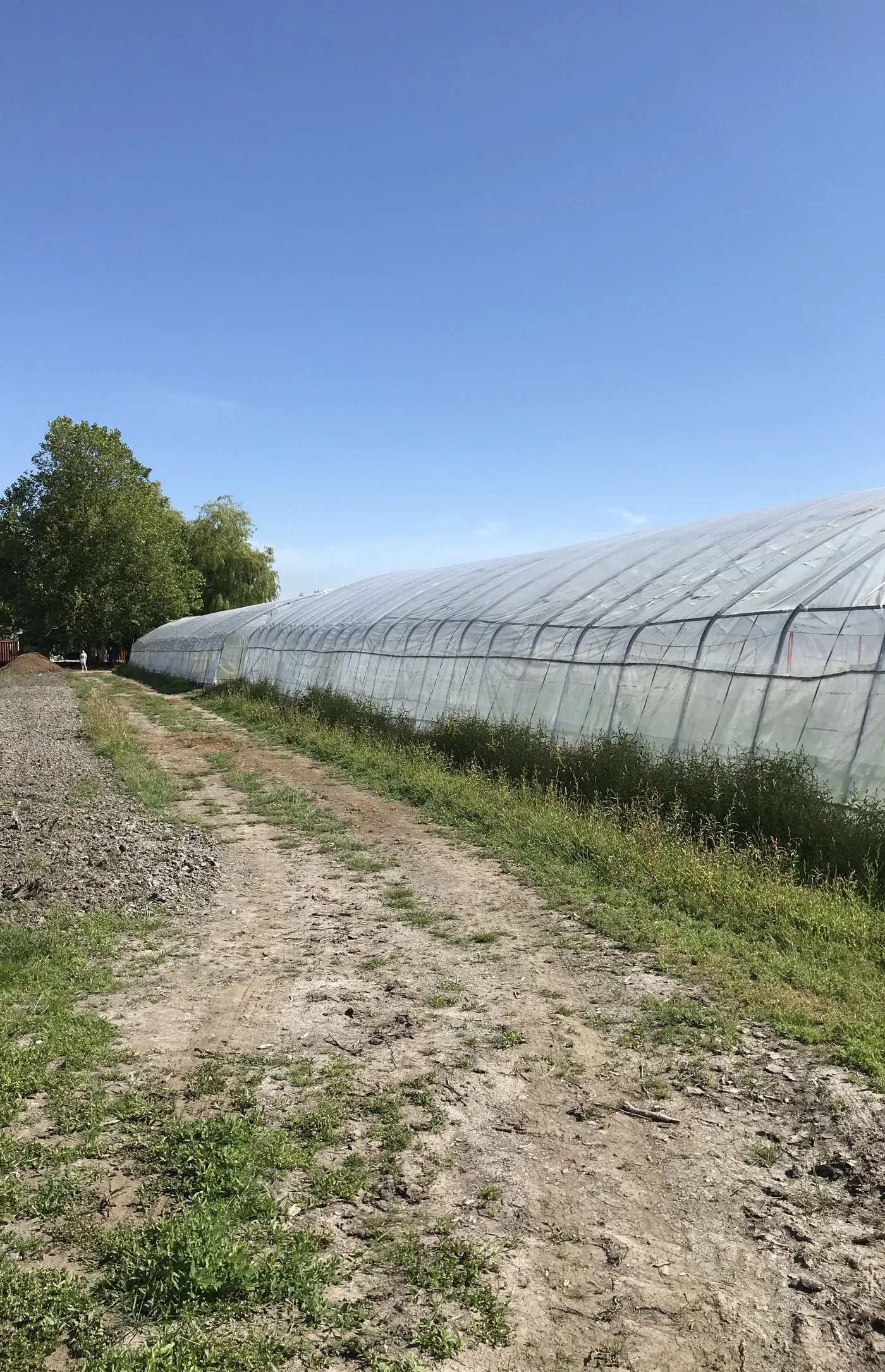 New Farm Access Road project photo