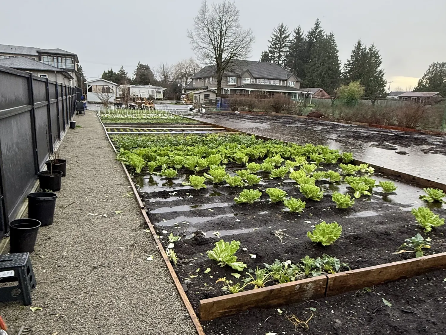 A working market garden in the British Columbia Lower Mainland