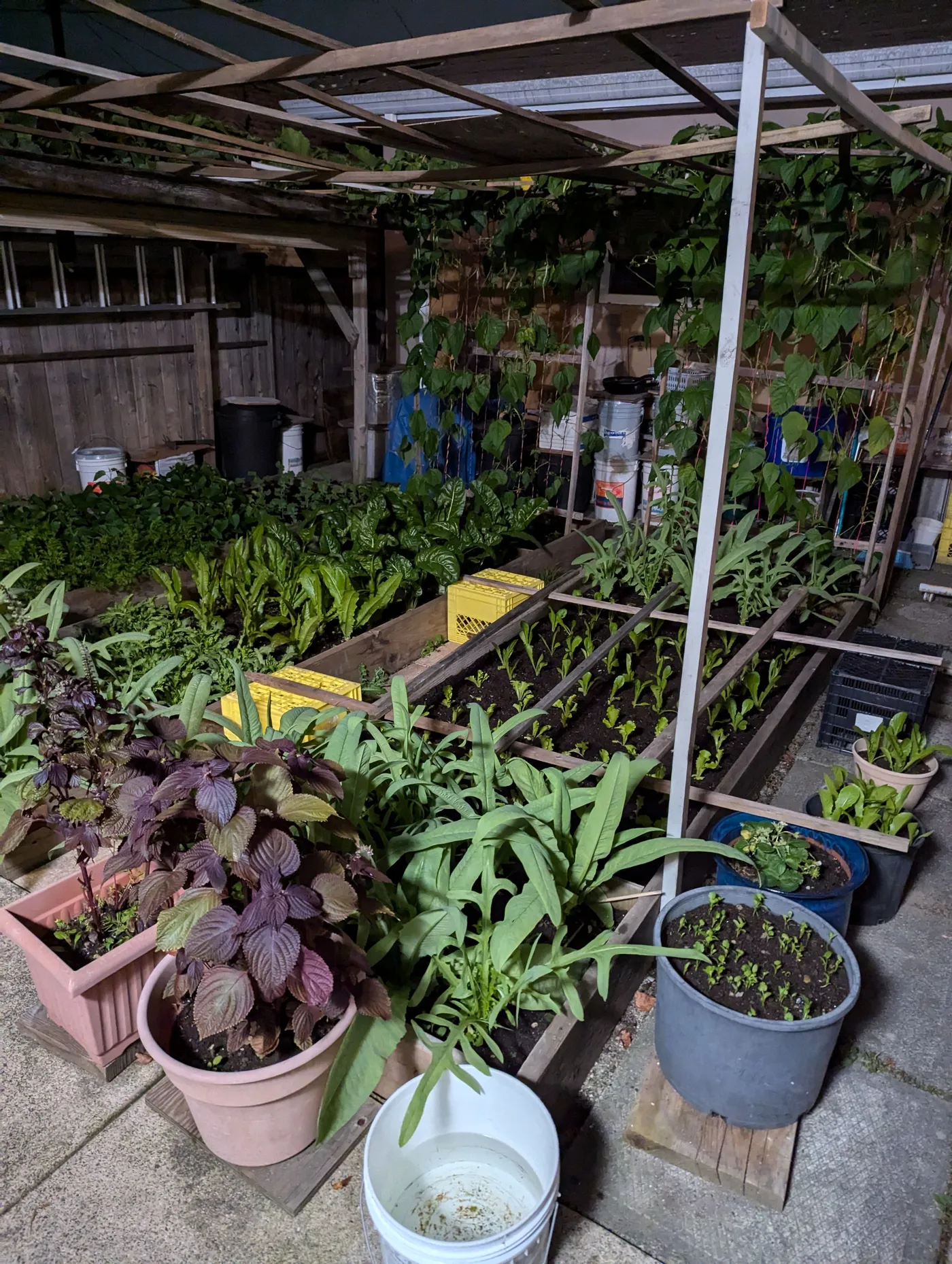 Soil, Fill & Farmland in Richmond: A Landowner's Quick Guide