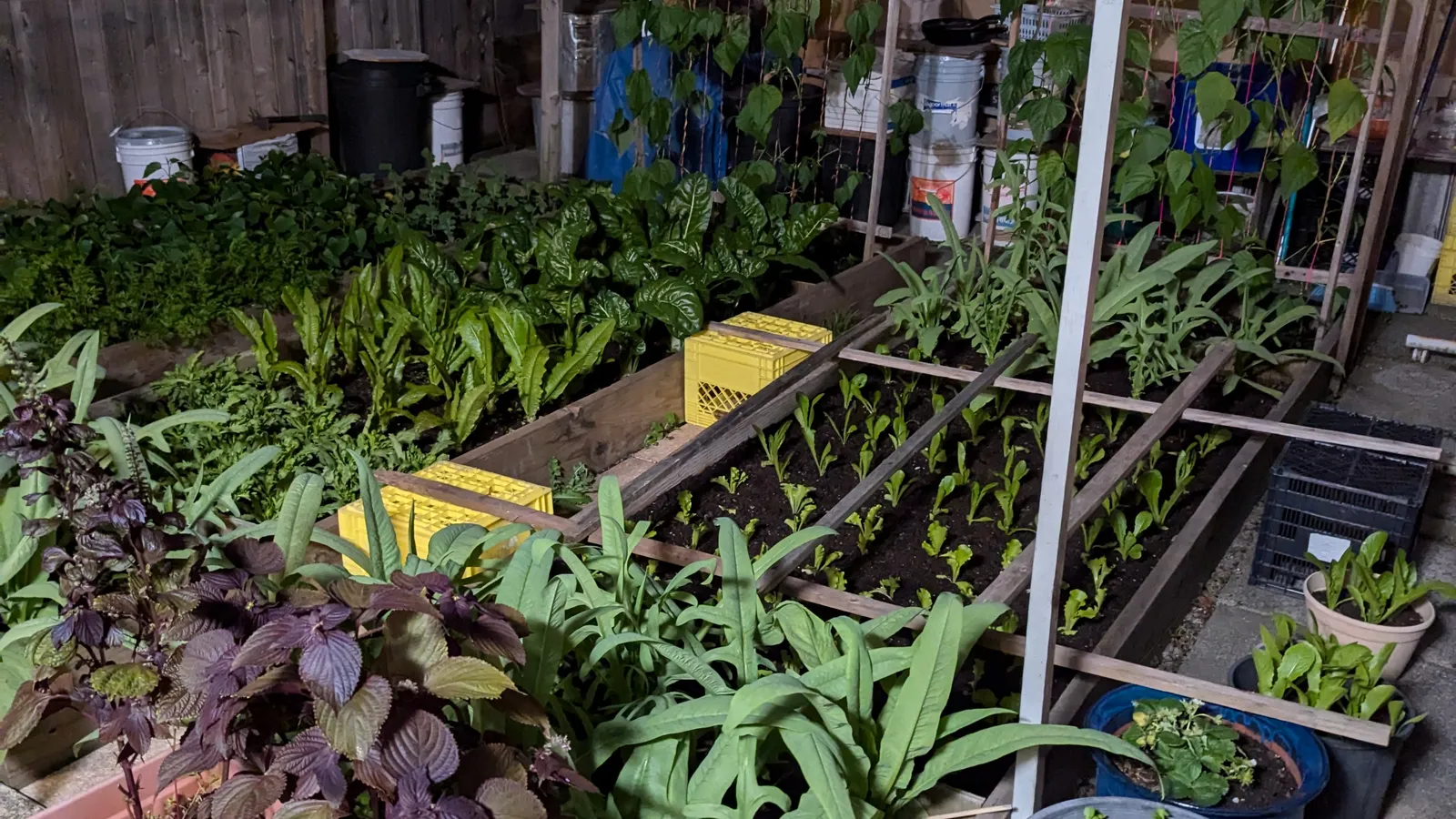 Project photo for Boutique Nursery & Cut-Flower Farm