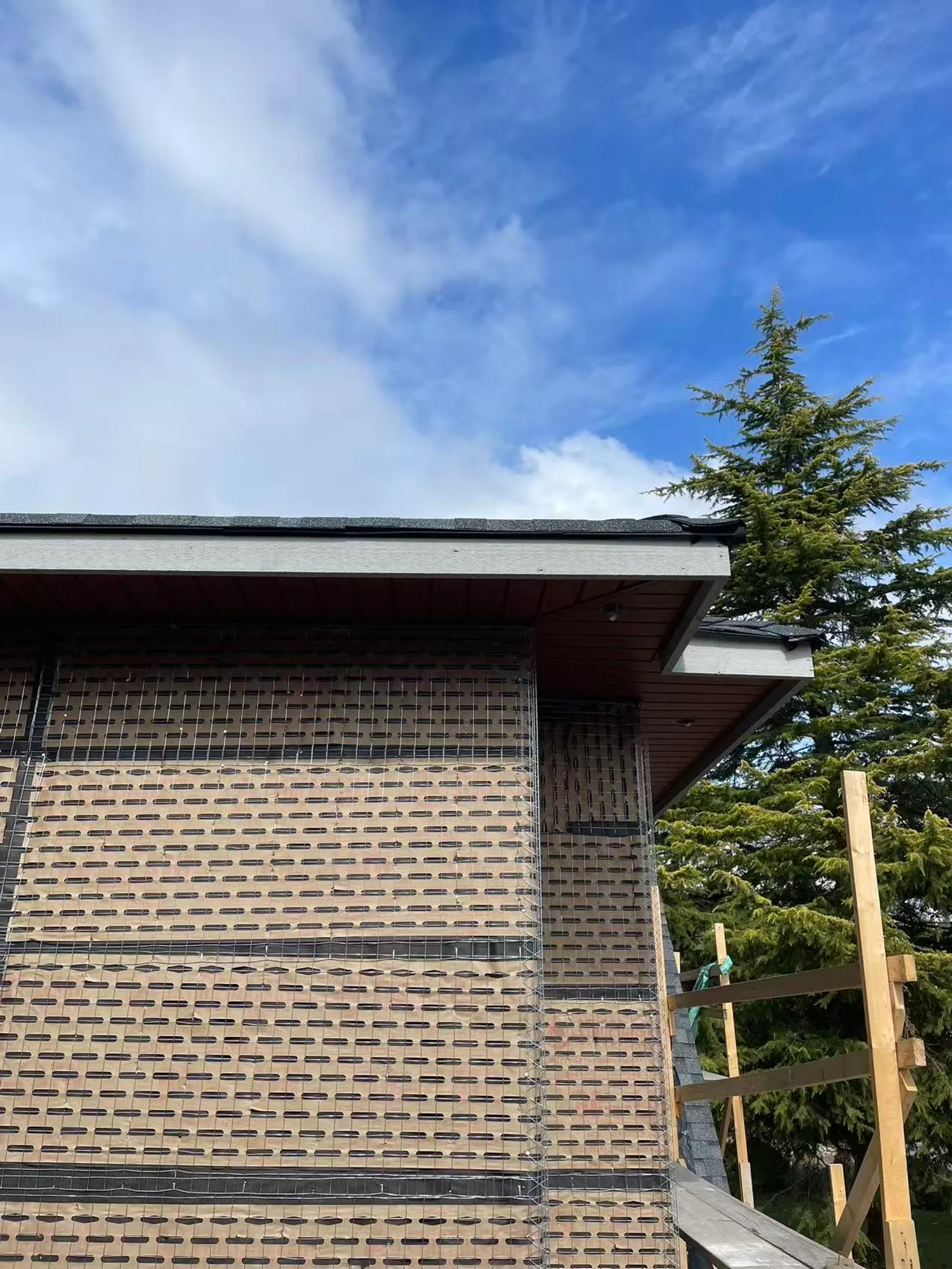 Residential Renovation & Addition project photo