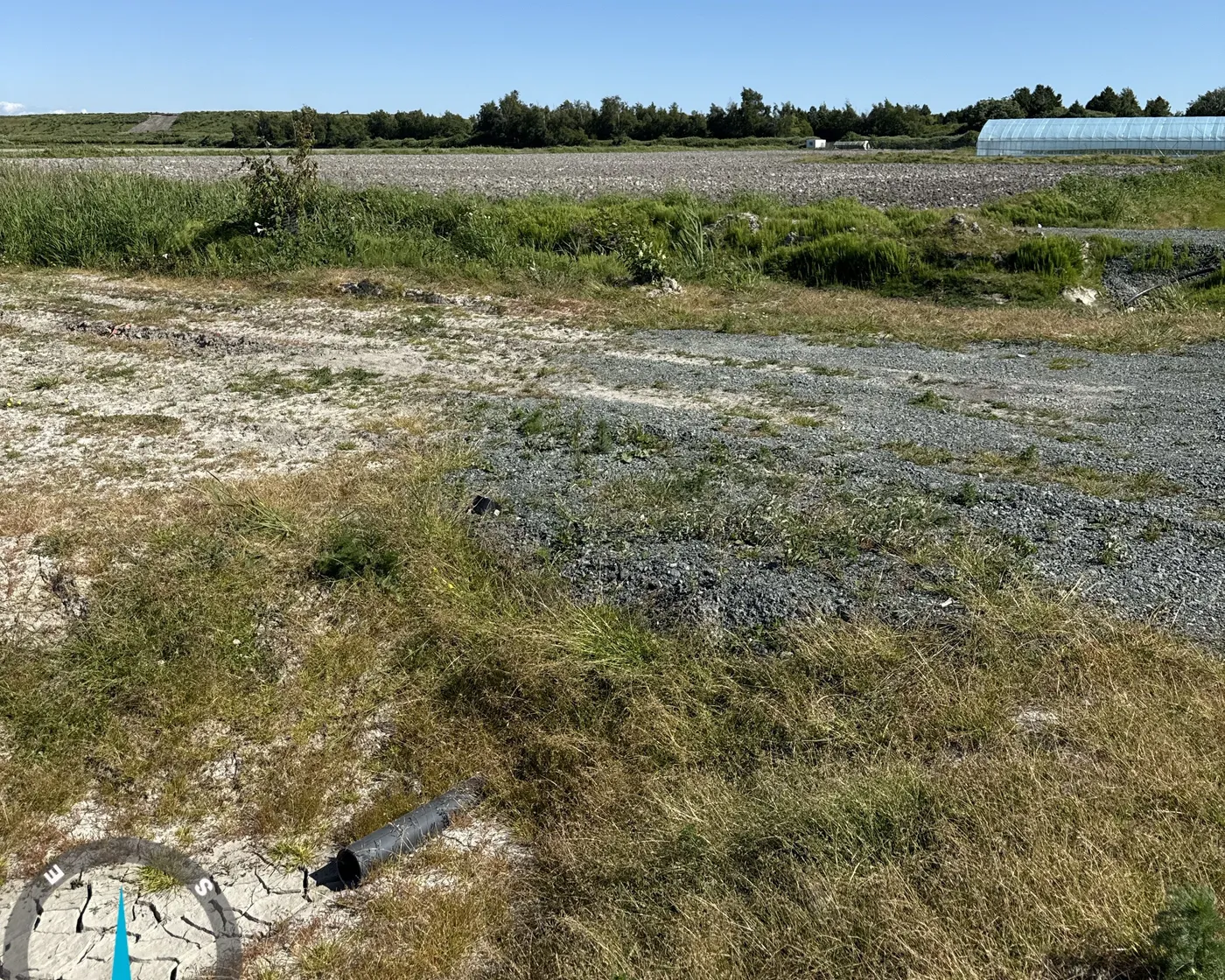 A Lower Mainland agricultural site during environmental review