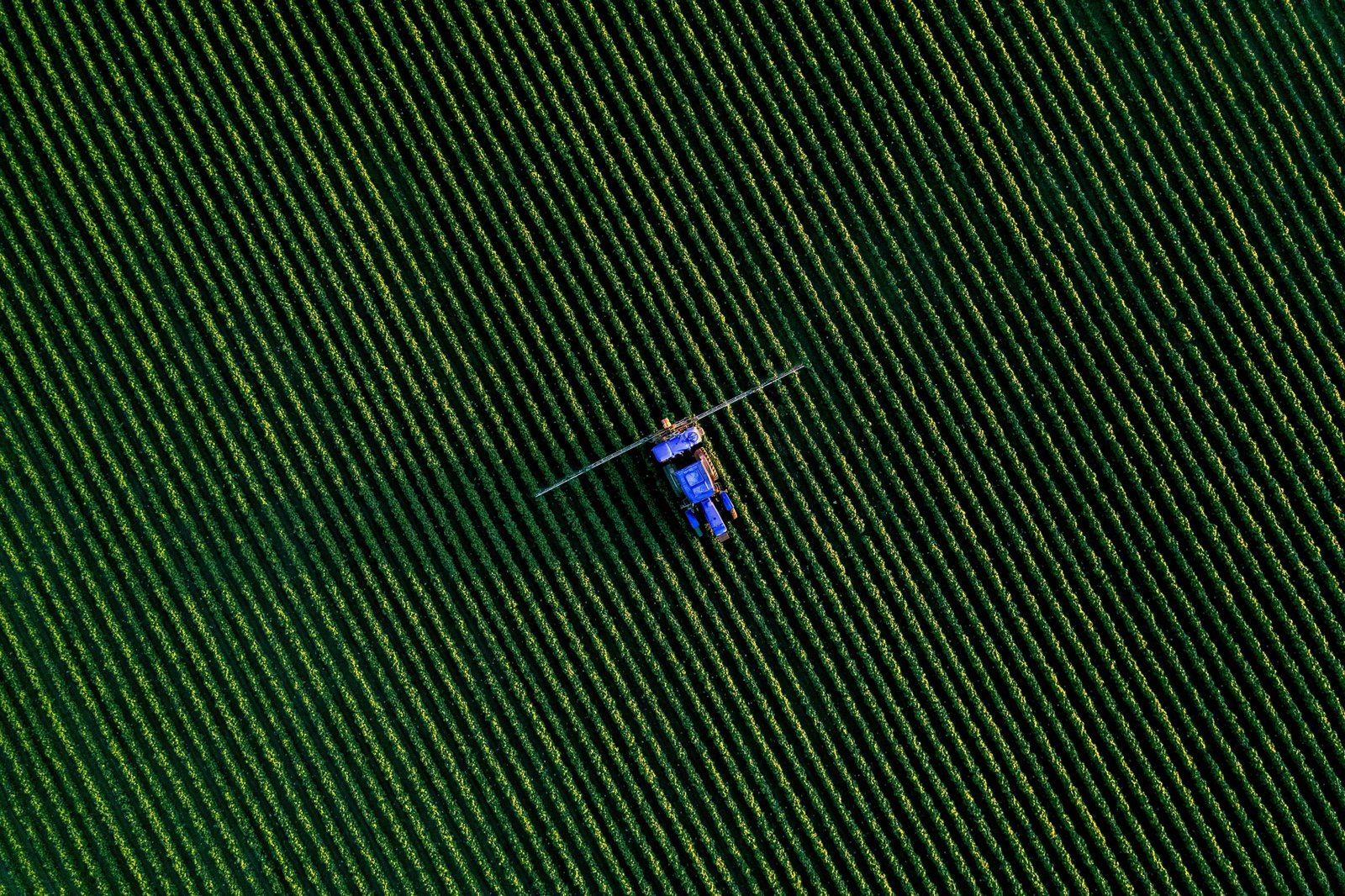 about-hero-image-field